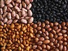 Продам фасоль разных сортов. Фасоль выращена на украинских полях. Только натуральный продукт! Beans Nature Product -компания специализируется ...