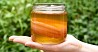 Подаётся Зрелый Чайный гриб - готовый для приготовления 3-х литров целебного напитка в домашних условиях. Целебный, благоприятно влияющий на...