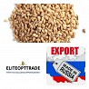 Ячмень Фуражный/Экспорт/Внутренний рынок Ячмень: Мы предлагаем высококачественное фуражное зерно, которое широко применяется в рационе ...