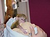 Доступны превосходные и хорошо обученные обезьяны-капуцины. Очень красивые маленькие обезьянки, которые станут лучшими комнатными и семейными...