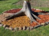 Pārdodu krāsaino koku skaidu mulču. Pieejamās krāsas: - sarkana - oranža - dzeltena Vidējā frakcija, krāsota, 50l maisos 4.50€/gab Videjā...
