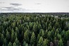 Pērk mežu īpašumus, var būt daļēji, vai pilnībā izstrādāts, kopā ar lauksaimniecības zemi, māju, citām būvēm, veicam īpašuma dalīšanu, kārtojam ...