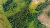 Pārdošanā 1 ha zeme ar mežu privātmājas būvniecībai, ainaviskā vietā, 5 km no Ķekavas, ciematā Jaunaustras. Funkcija - privātai apbūvei 2502 ...