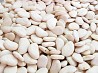 The Bins Natur Product company sells beans in bulk. Large assortment (more than 20 varieties) and high quality. We will provide all the ...