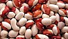 We sell beans with delivery across Europe. Bins Natur Produkt specializes in the cultivation and sale of legumes. More than twenty varieties ...