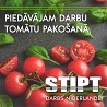 Aģentūra STIPT piedāvā darbu Nīderlandē sievietēm. Darbs ir tomātu pakotāvā! Mēs nodrošinām: Atalgojums sākot no 9.44 eur/h bruto. (bonusu...