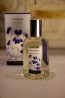 Violette Fragonard - это женский аромат, принадлежит к цветочной группе. Верхние ноты: Апельсин, Ежевика и Мандарин; Средние ноты: Фиалка, Роза ...