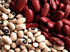 Vairumtirdzniecībā pārdodam sarkanās pupiņas, baltās pupiņas ar piegādi no Ukrainas. Noliktavā daudz šķirņu. Beans Natur Product specializējas...
